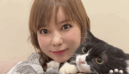 中川翔子の旦那のパイロット説が嘘とされる理由や世間の反応まとめ