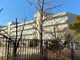 聖徳大学附属中学校での学歴と部活動