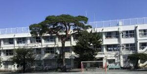 自宅が世田谷区立玉川小学校に近い？