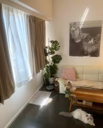 自宅マンションの家賃と間取り