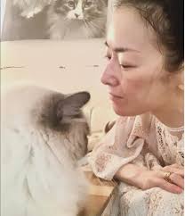 飼い猫と暮らしていた生活スタイル